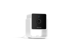 PetCube Cam
