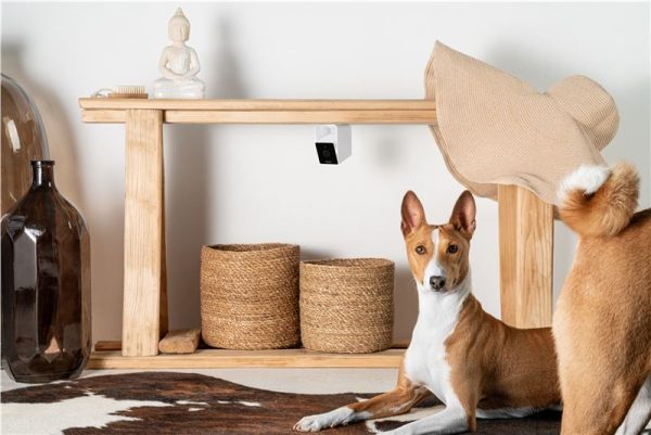PetCube Cam (CC10US) - Image 3