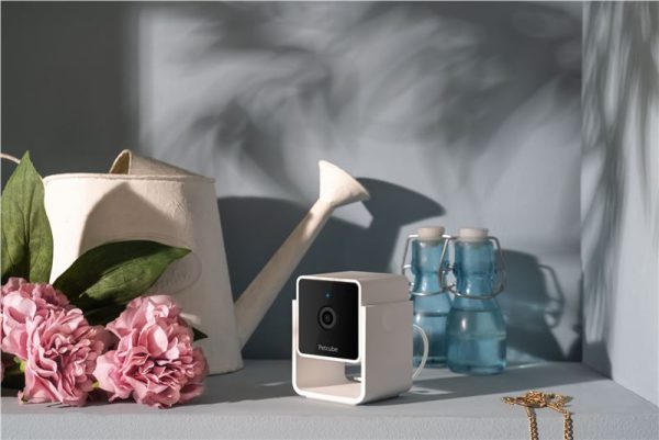 PetCube Cam (CC10US) - Image 5