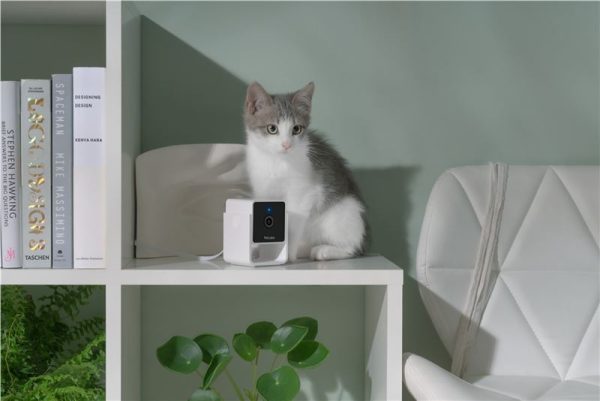 PetCube Cam (CC10US) - Image 9