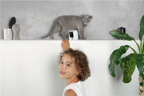 PetCube Cam (CC10US) - Image 10