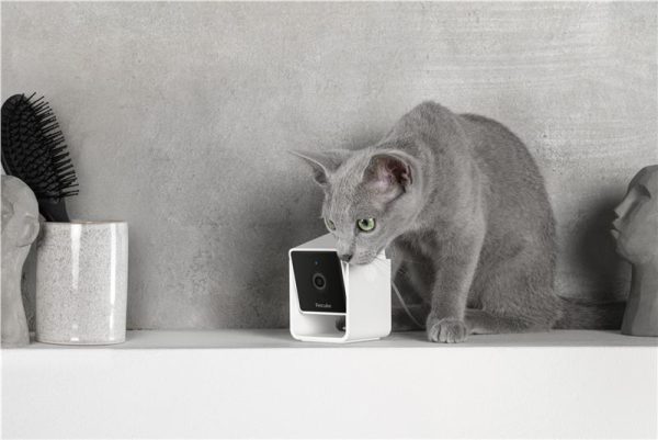PetCube Cam (CC10US) - Image 11