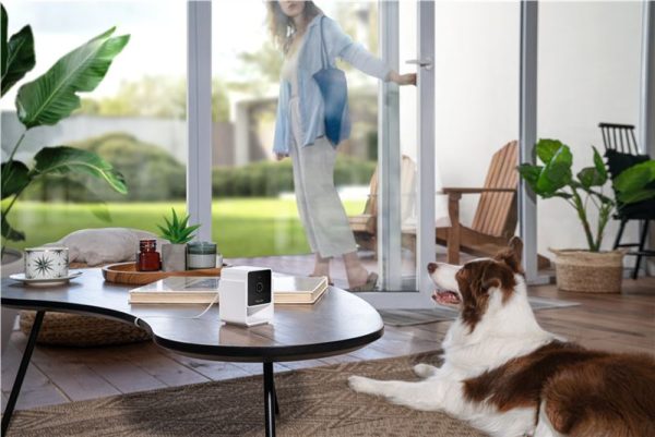 PetCube Cam (CC10US) - Image 13