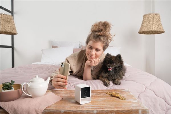 PetCube Cam (CC10US) - Image 14