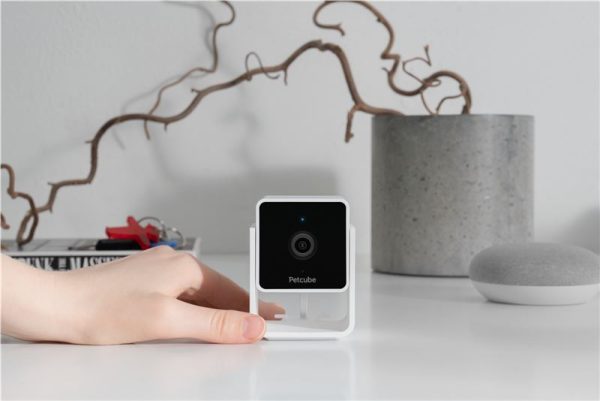 PetCube Cam (CC10US) - Image 16
