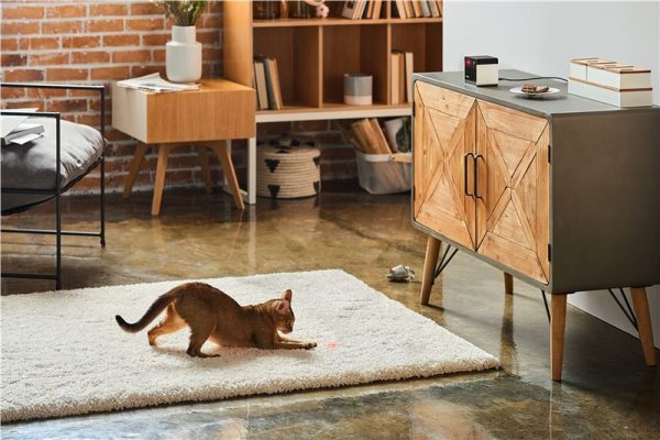 Petcube Play 2 (PP20US) - Image 8
