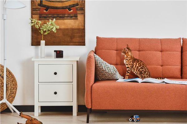 Petcube Play 2 (PP20US) - Image 10