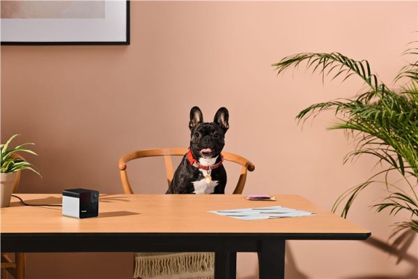Petcube Play 2 (PP20US) - Image 12