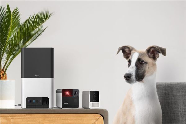 PetCube Cam (CC10US) - Image 22