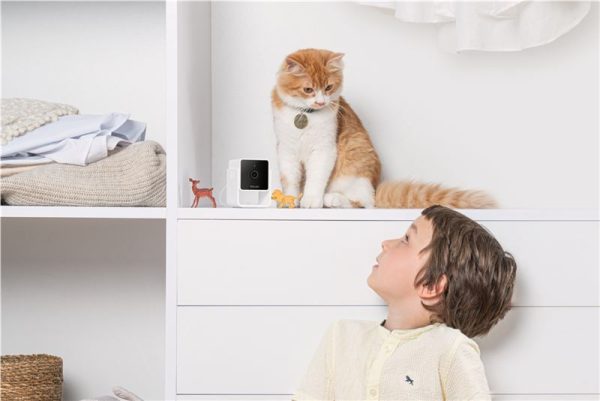 PetCube Cam (CC10US) - Image 23