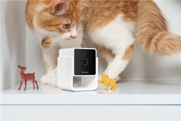 PetCube Cam (CC10US) - Image 24