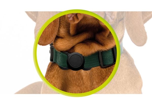 Mobile Origin AirTag Pet Collar black