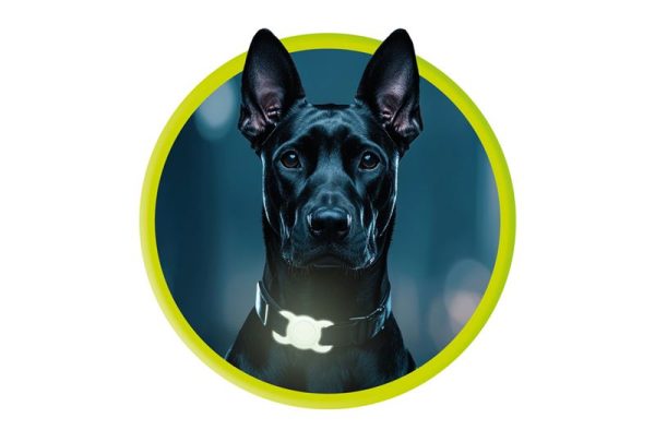 Mobile Origin AirTag Pet Collar luminous green