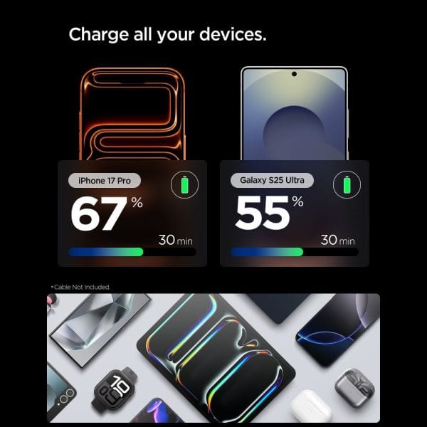 Φορτιστής Τοίχου Spigen Essential EE301EU-GAN 30W USB-C Natural Titanium (ACH10448) - Image 6
